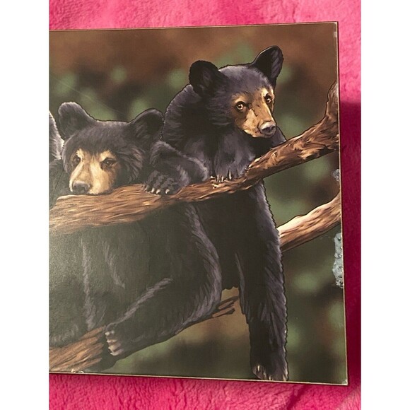 Wooden Box  Bear Family Nature Scene Keepsake Gift Quote Love Notes Bronson MO - Picture 14 of 14